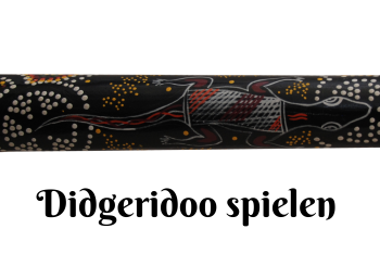 angebot didgeridoo